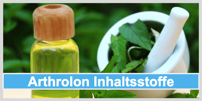 Menthol Blätter und ein Fläschen zu sehen Arthrolon Inhaltsstoffe