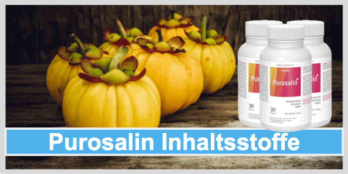 Garcinia Cambogia Pflanze Purosalin Inhaltsstoffe