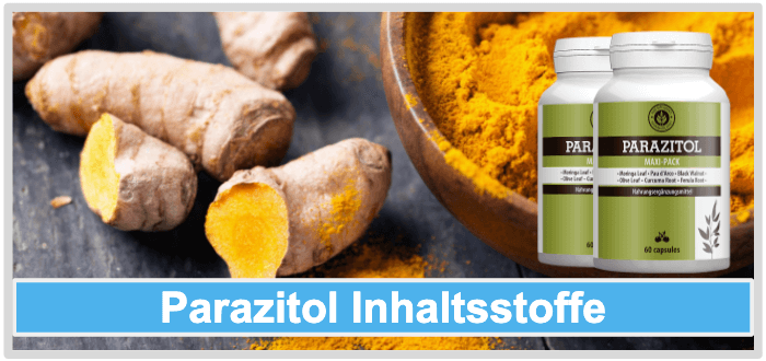Parazitol mit Kurkuma Wurzel und Pulver Parazitol Inhaltsstoffe Wirkung Wirkstoffe