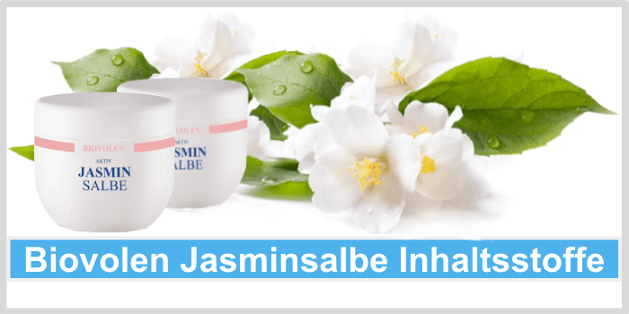 Jasminblüten auf weißem Hintergrund Biovolen Jasminsalbe Inhaltsstoffe