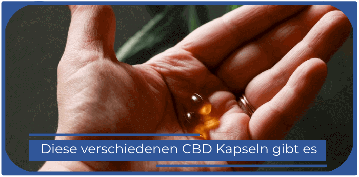 CBD Kapseln CBD Kapseln Softgel Hartkapseln Tabletten