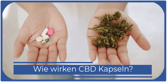 CBD und Kapseln CBD Kapseln Wirkung Wirkungseintritt