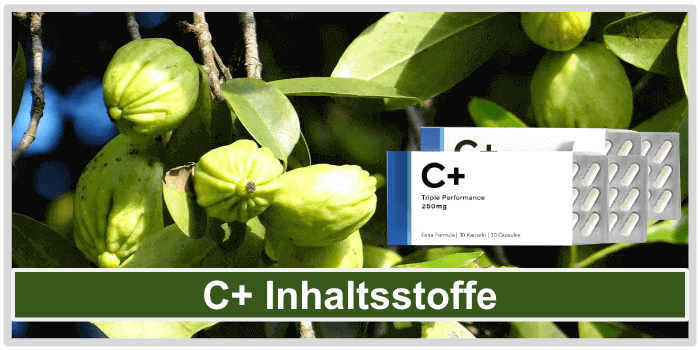 Garcinia Cambogia Frucht C Plus Inhaltsstoffe Wirkung Wirkstoffe