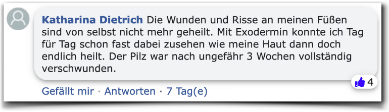 Ein positiver Erfahrungsbericht aus einem Facebook Kommentar Exodermin Erfahrungsberichte Kritik Erfahrung