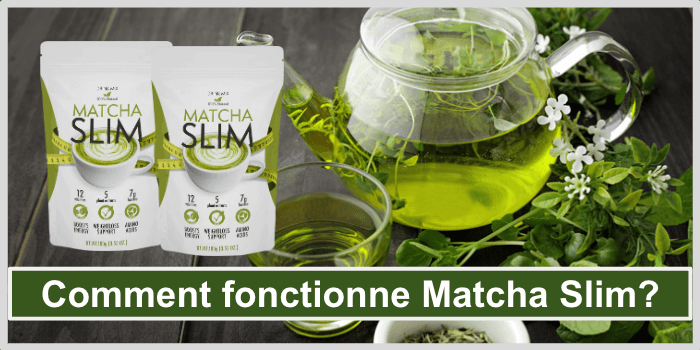 Une théière de délicieux thé pour perdre du poids Fonctionne Matcha Slim
