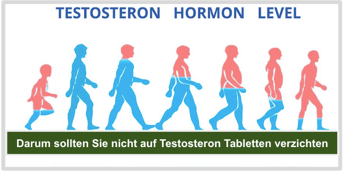 Eine Darstellung des Testosteronlevels im männlichen Körper Darum nicht auf Testosteron verzichten Bild