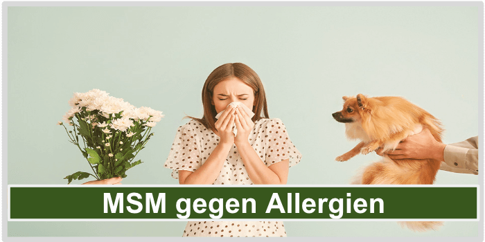 Ein Blumenstrauß, eine Frau die niest und ein Hund MSM Allergien Bild