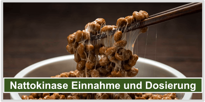 Fertiges Natto das mit Stäbchen gegessen wird Nattokinase Produktvergleich Einnahme und Dosierung