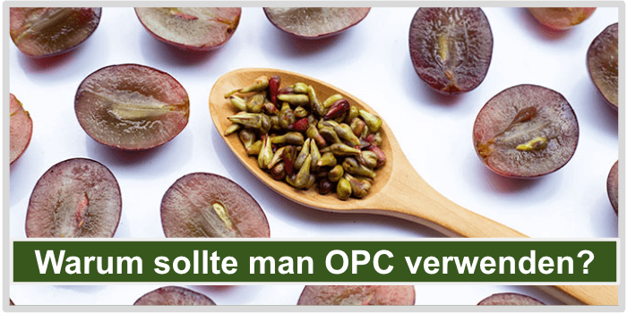 Halbierte Trauben und ein Löffel voll mit Traubenkernen Warum OPC verwenden Bild