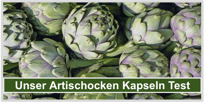 Viele leckere Artischocken Artischocken Kapseln Test Bild