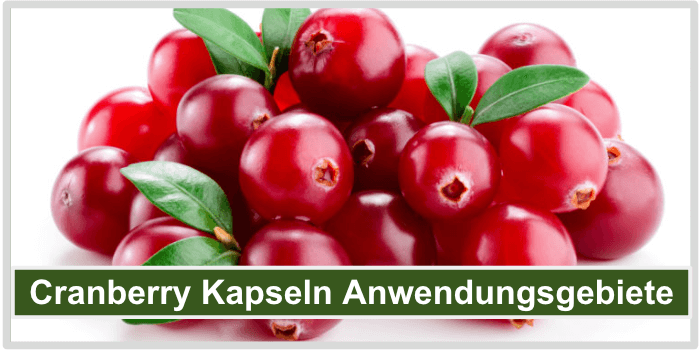 Einige leckere Cranberries Cranberry Kapseln Anwendungebiete Bild