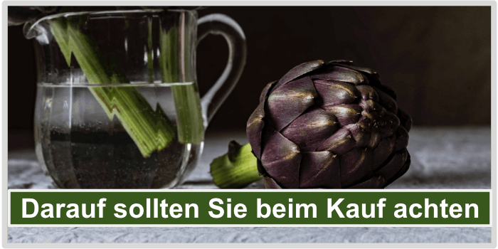 Eine Vase mit Wasser und eine Artischocke Darauf beim Kauf achten Bild