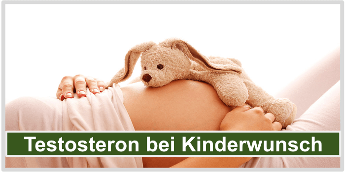 Eine Frau mit Babybauch und einem Stofftier auf dem Bauch Testosteron Kinderwunsch Bild