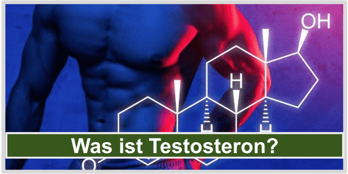 Ein trainierter Oberkörper eines Mannes und die chemische Formel von Testosteron Was ist Testosteron kaufen Bild