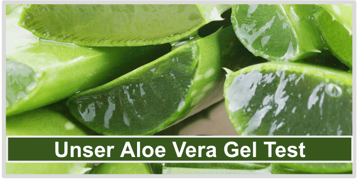 Saftige Aloe Vera Blätter Aloe Vera Gel Test Bild