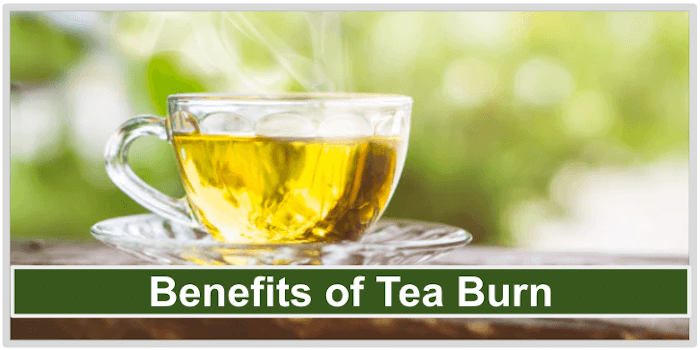 Benefits of Tea Burn Benefits of Tea Burn