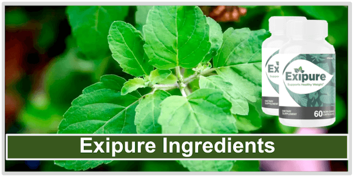 Exipure Ingredients Exipure Ingredients