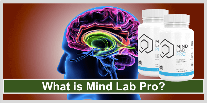 What is Mind Lab Pro What is Mind Lab Pro